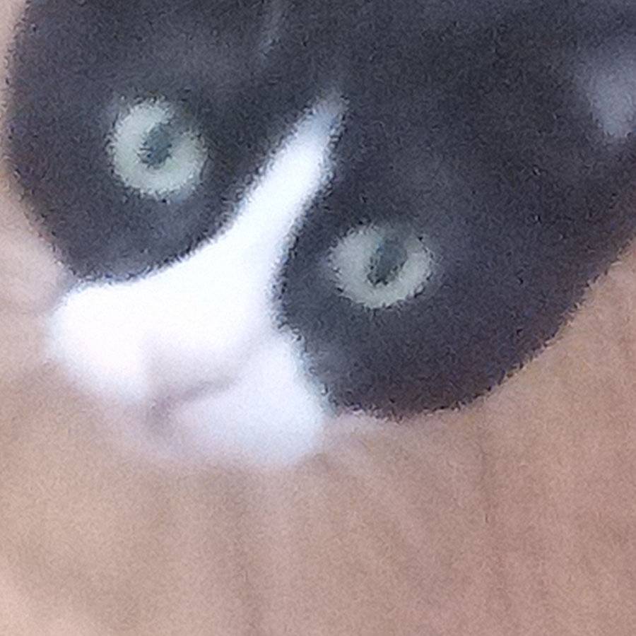 coropleth