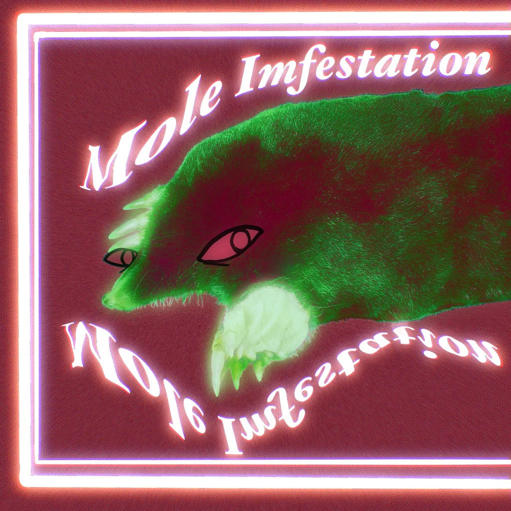mole imfestation